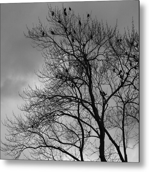 Monochrome Metal Print featuring the photograph A Grey Day by George Pennington