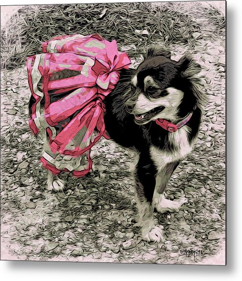 Long Hair Chihuahua Metal Print featuring the photograph Black and Tan Chihuahua - Little Pink TuTu by Rebecca Korpita