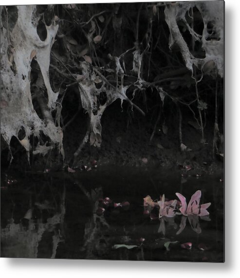  Metal Print featuring the photograph Blossom Rain 9 by Georg Kickinger