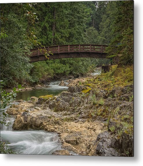 British Columbia Metal Print featuring the photograph Bridge in the Woods by Carrie Cole