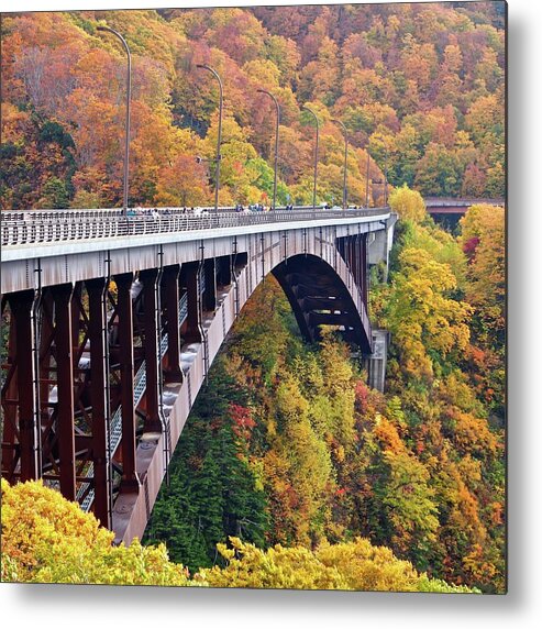 Tranquility Metal Print featuring the photograph Bridge With Trees by Marco Ferrarin