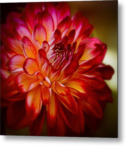 Dahlia Metal Print featuring the photograph Brittany Red Dahlia by Julie Palencia