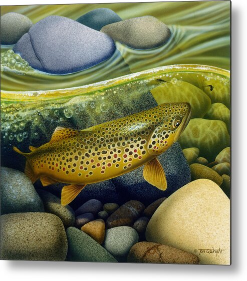 Jon Q Wright Metal Print featuring the painting Brown Trout by JQ Licensing