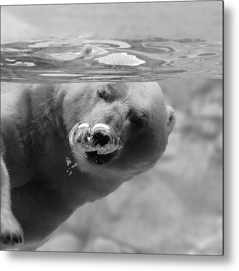 Australia Metal Print featuring the photograph Bubbles by C.s. Tjandra