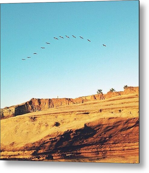  Metal Print featuring the photograph Buhds!! At Sunset At Sunset Cliffs, Go by Amanda Schoonover