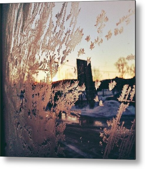 Chiberia Metal Print featuring the photograph Burst Of A Colour From The Sunrise by Beth Cole