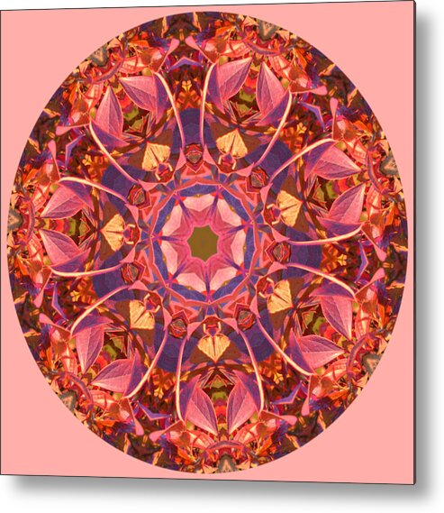 Fall Metal Print featuring the photograph Burst of Fall Mandala by Beth Sawickie
