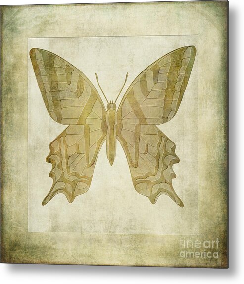 Lepidoptera Art Metal Print featuring the digital art Butterfly Textures by John Edwards