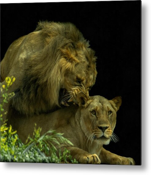Africa Metal Print featuring the digital art Call of the Wild 2 by Ernest Echols