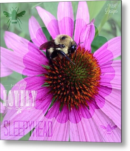 Flower Metal Print featuring the photograph Caught This #sleepyhead This Morning On by Teresa Mucha