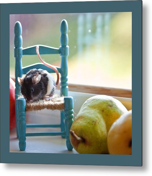 Mouse Metal Print featuring the photograph Clara's Favorite Chair by Theresa Tahara