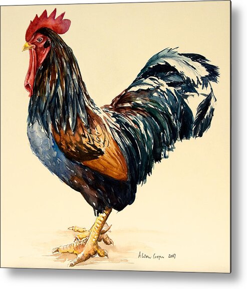 Cockerel Metal Print featuring the painting Cockerel by Alison Cooper