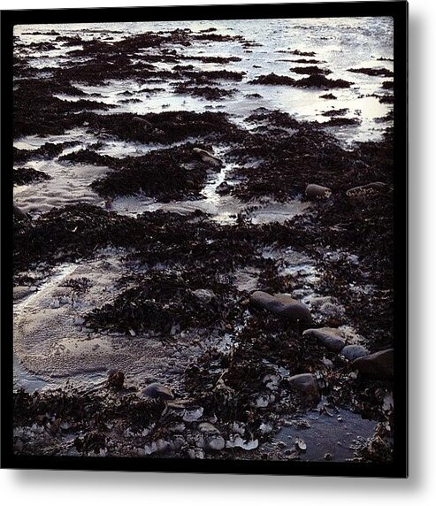 Ice Metal Print featuring the photograph Cold Icelandic Beach by Kes