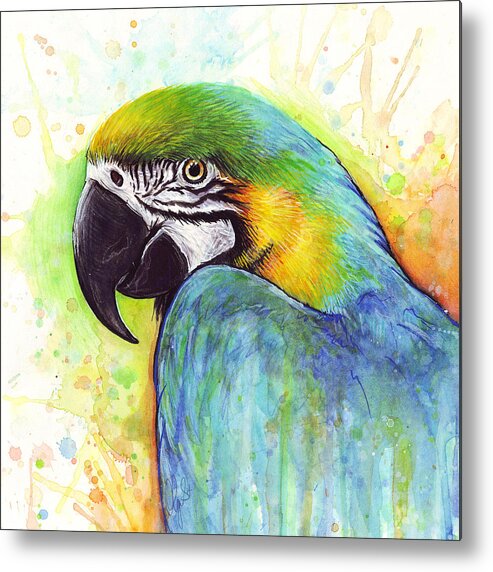 Watercolor Painting Metal Print featuring the painting Macaw Watercolor by Olga Shvartsur