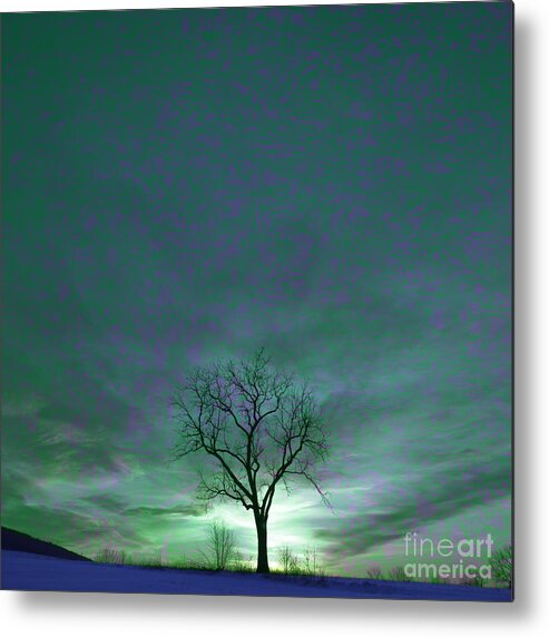 Tranquil Scene Metal Print featuring the photograph Cosmic Sky Winter Tree by Lone Palm Studio