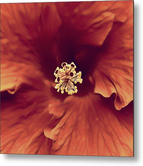 Crimson Metal Print featuring the photograph Crimson Floral Heart by Bill and Linda Tiepelman