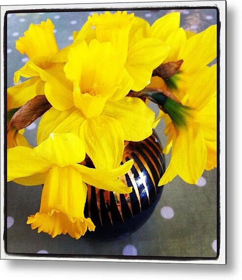 Daffodils Metal Print featuring the photograph Daffodils by Kate Makin