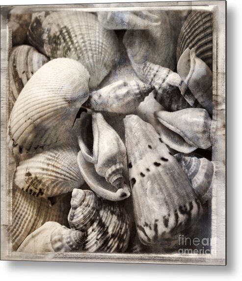 Shell Metal Print featuring the photograph Delivered by the Sea by Ella Kaye Dickey