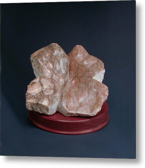 Sculpture Metal Print featuring the sculpture Desert Rose by Leslie Dycke