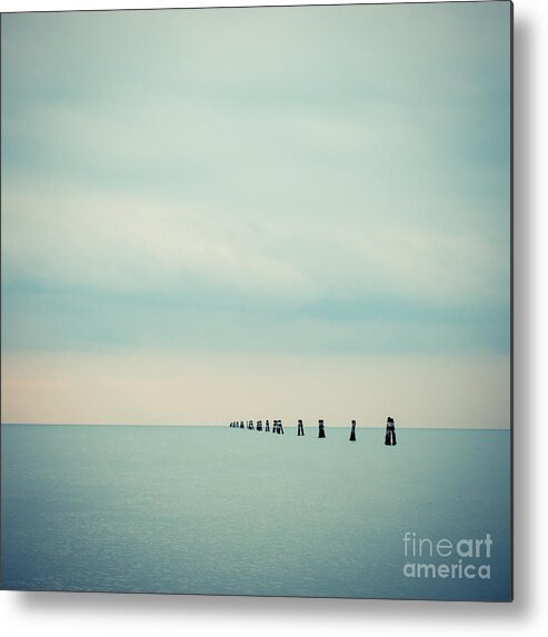 1x1 Metal Print featuring the photograph Dolphin by Hannes Cmarits