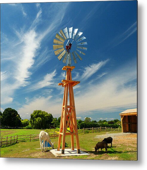 Windmill Metal Print featuring the photograph Down on the Farm by Elaine Franklin