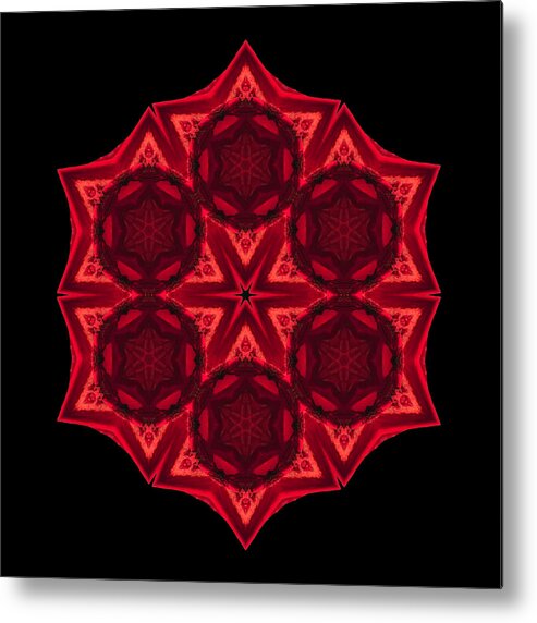 Flower Metal Print featuring the photograph Dying Amaryllis III Flower Mandala by David J Bookbinder