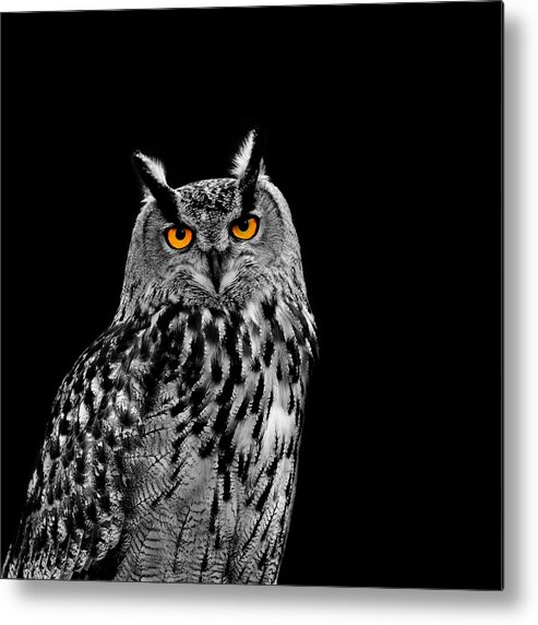 Eagle Owl Metal Print featuring the photograph Eagle Owl by Mark Rogan