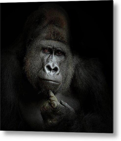 #faatoppicks Metal Print featuring the photograph Ego Cogito, Ergo Sum by Artistname