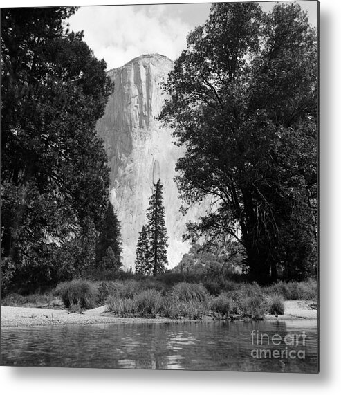 El Capitan Metal Print featuring the photograph El Capitan Yosemite by Riccardo Mottola