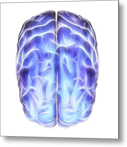 Anatomical Metal Print featuring the photograph Electrical Activity In The Brain by Alfred Pasieka