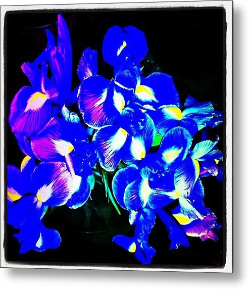 Beautiful Metal Print featuring the photograph Empress Moonflowers by Urbane Alien