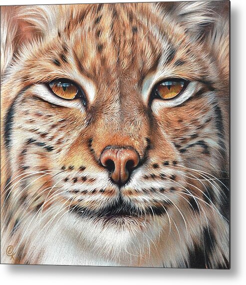 Wild Metal Print featuring the drawing faces of the Wild - Lynx by Elena Kolotusha