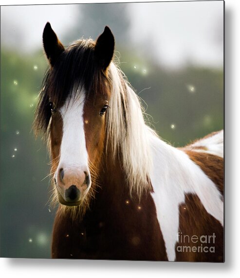 Fairy Metal Print featuring the photograph Fairytale Pony by Ang El