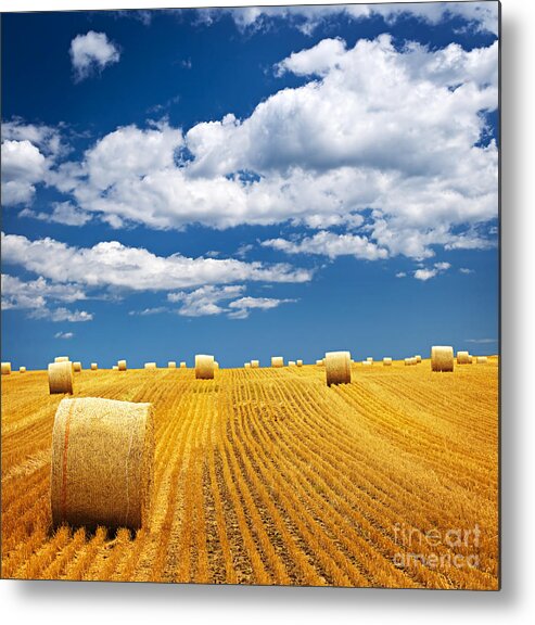 Agriculture Metal Print featuring the photograph Farm field with hay bales by Elena Elisseeva