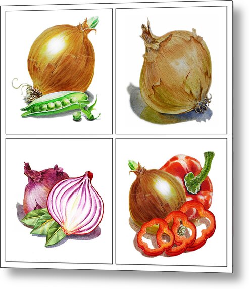 Onion Metal Print featuring the painting Farmers Market Onion Collection by Irina Sztukowski
