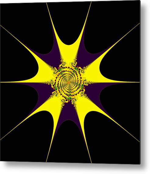 Flowers Metal Print featuring the photograph Floral Starburst by Bill Barber