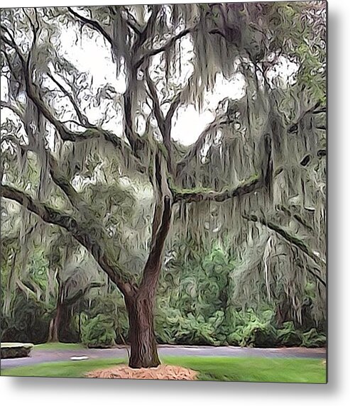  Metal Print featuring the photograph Florida Moss - If You've Never Been To by All Is Grace