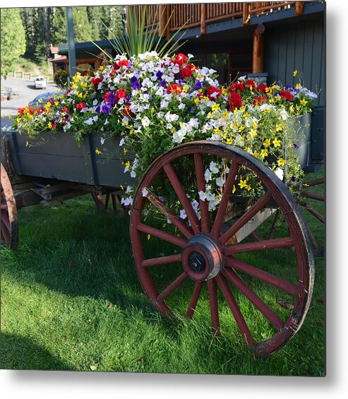 Banff Metal Print featuring the photograph Flower Cart in Banff Town by Yue Wang