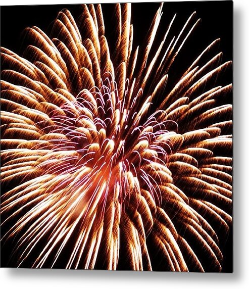 Fireworks Metal Print featuring the photograph Flower Or Fireworks #flower #fireworks by Hermes Fine Art