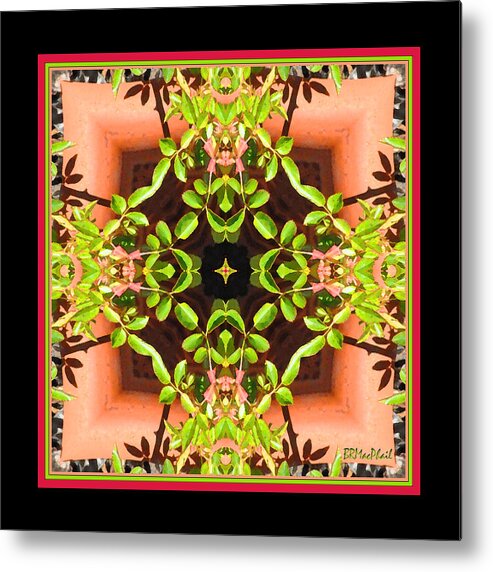 Greenery Metal Print featuring the photograph Flower Pot Kaleidoscope by Barbara MacPhail