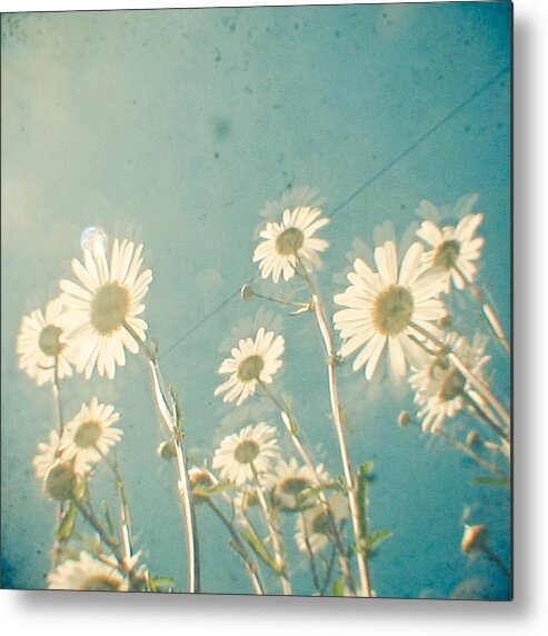 Daisy Metal Print featuring the photograph Forever Young by Cassia Beck