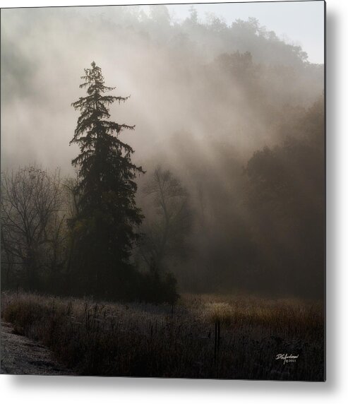 Fog Metal Print featuring the photograph Frosty Foggy Morning by Don Anderson