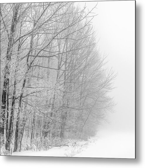 Landscape Metal Print featuring the photograph Frosty Forest Frontier by Chris Bordeleau