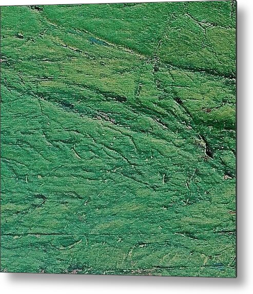 Acrylic Metal Print featuring the photograph Green Abstract by Debbi Dieterich