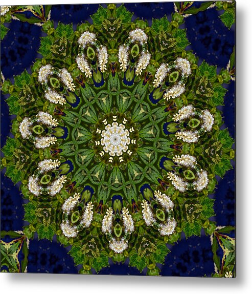 Green Metal Print featuring the photograph Green Leaf White Flower Mandala by Beth Venner