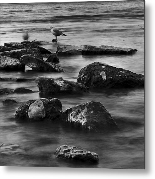 Rocks Metal Print featuring the photograph Gull Rock by Rod Sterling