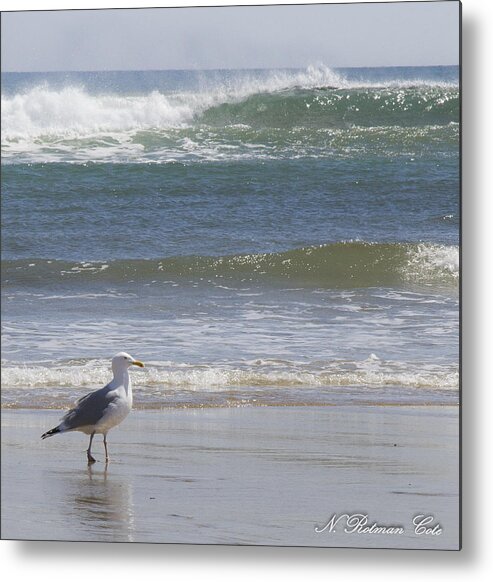 Photograph Metal Print featuring the photograph Gull with Parallel Waves by Natalie Rotman Cote