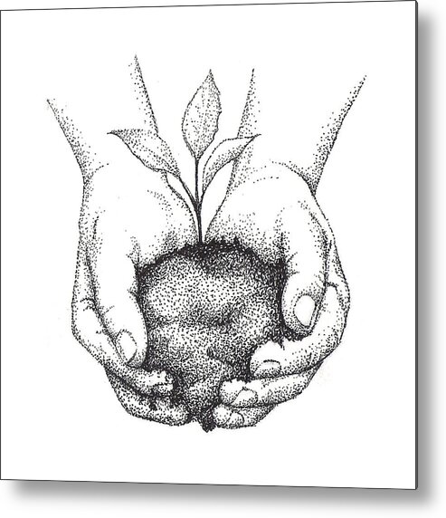 Hand Metal Print featuring the drawing Hands Holding Seedling by Christy Beckwith