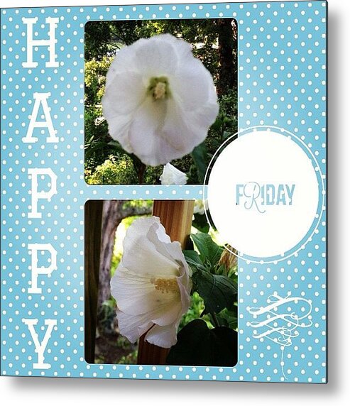 Hibiscus Metal Print featuring the photograph #happy #friday #instaframe by Teresa Mucha