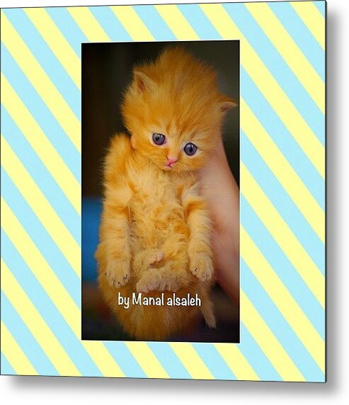Takenbyme Metal Print featuring the photograph Hi My Name Is Asfar ( The Color Of The by Manal Al Saleh